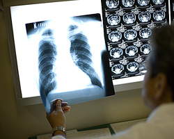 �ċz�����